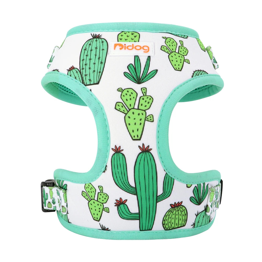 harnais en cactus pour petit chien fais en nylon