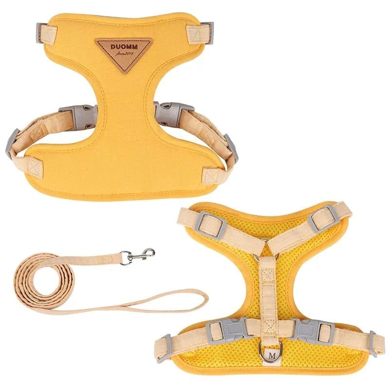 harnais jaune pour petit chien avec laisse. Image produit Boutiquechien