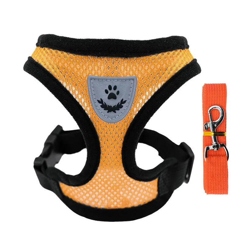petit harnais avec laisse pour chiot de couleur orange assortie fait en nylon. Image produit Boutiquechien