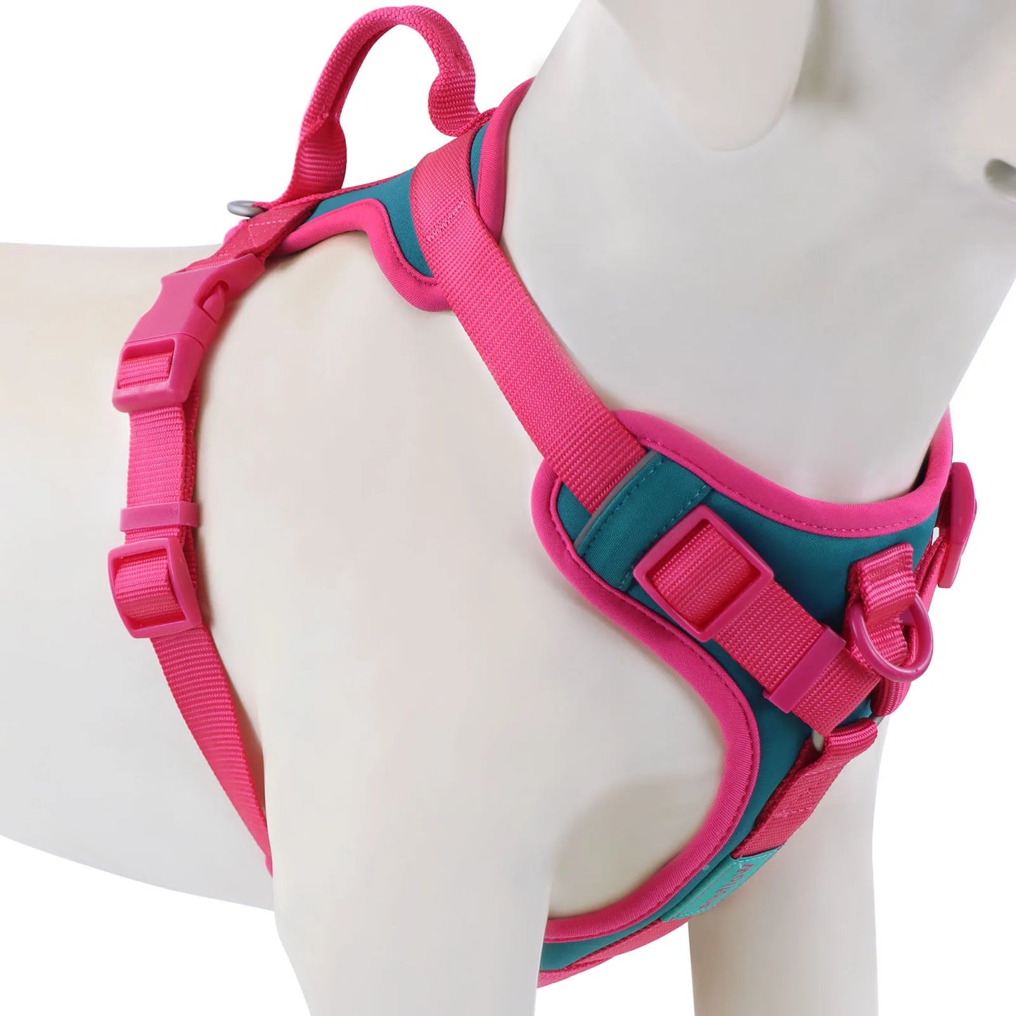 Harnais pour chien de couleur rose et turquoise durable et résistant pour les grands chiens. Image produit Boutiquechien