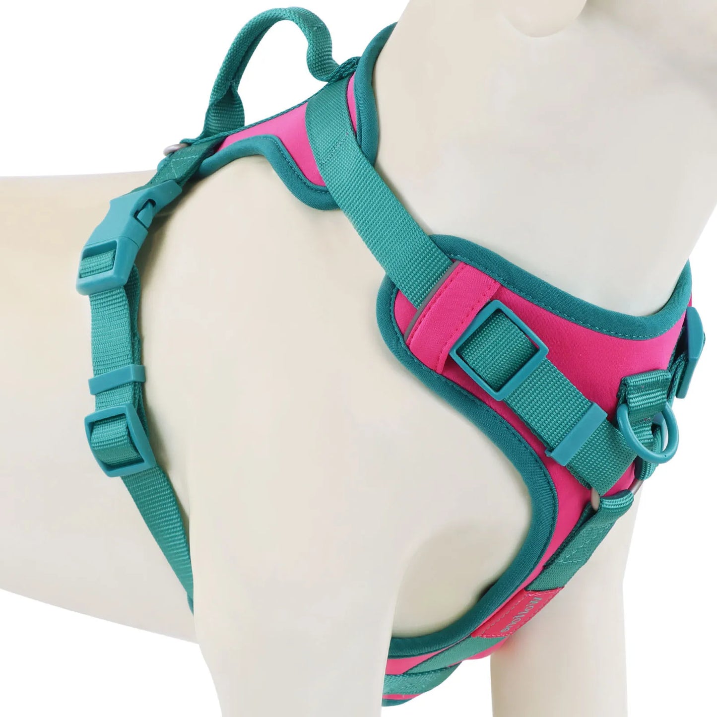 Harnais pour chien de couleur turquoise et rose durable et résistant pour les grands chiens. Image produit Boutiquechien
