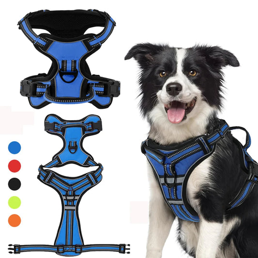 harnais pour chien en Y de couleurs différentes