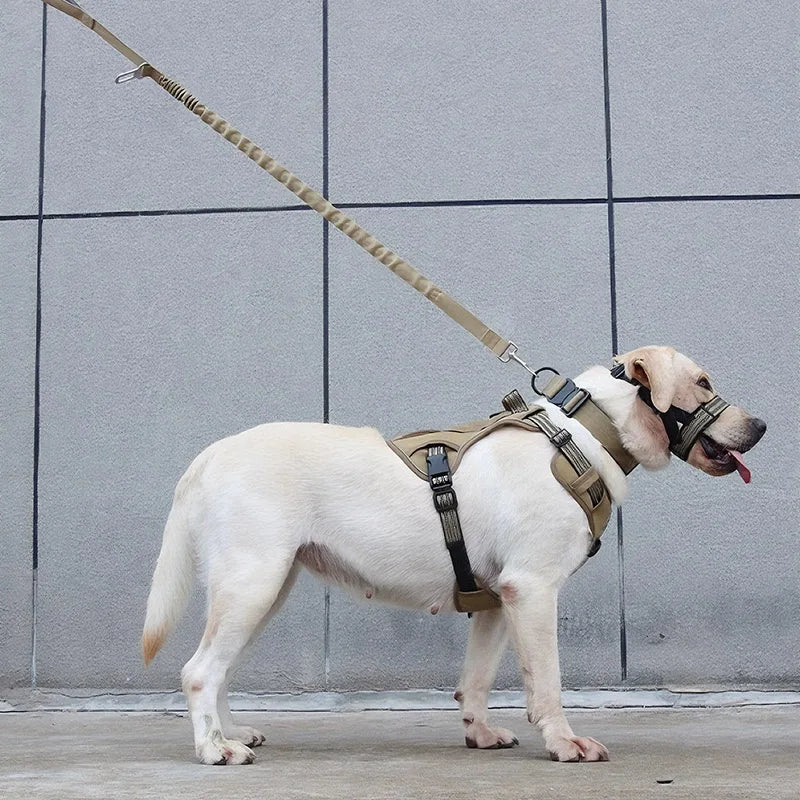 Harnais pour petit chien durable de couleur kaki sur un chien de couleur blanc. Image produit Boutiquechien