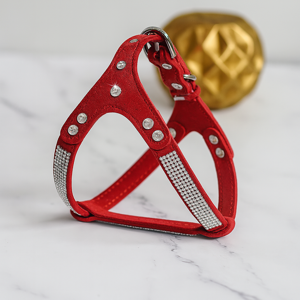 Harnais pour petit chien de couleur rouge avec des paillettes. Image produit Boutiquechien
