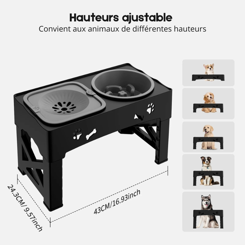 Hauteur de la gamelle double ajustable avec toutes les tailles du produit avec un exemple des chiens. Image produit Boutiquechien