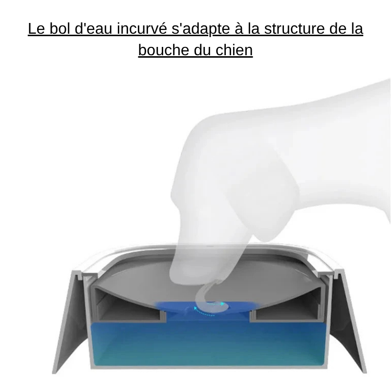 fonctionnement du bol d eau gris de boutiquechien