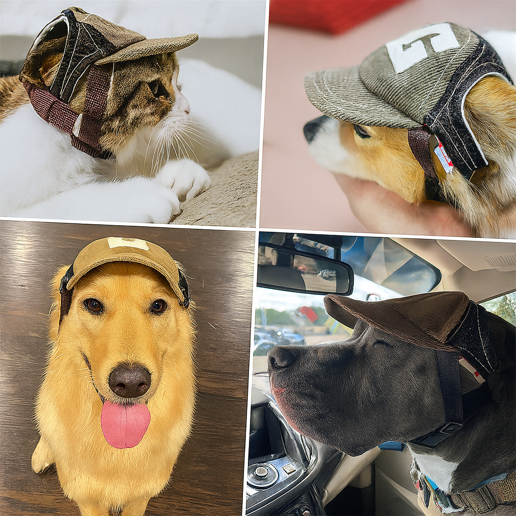 Differente image montrant l'utilisation de la casquette pour chien et chat. Image produit Boutiquechien