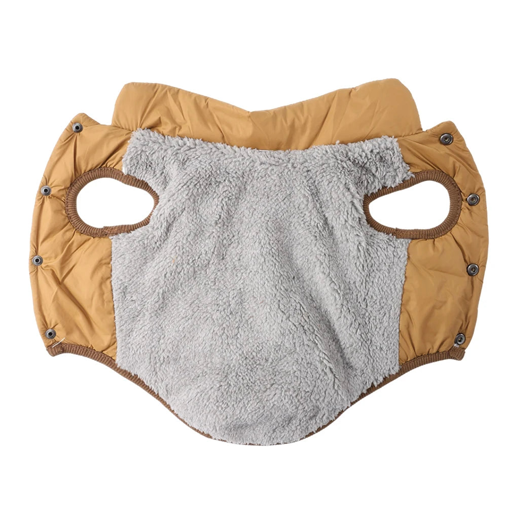 Intérieur de la veste pour chihuahua de couleur claire avec un intérieur rembourré gris. Image produit Boutiquechien