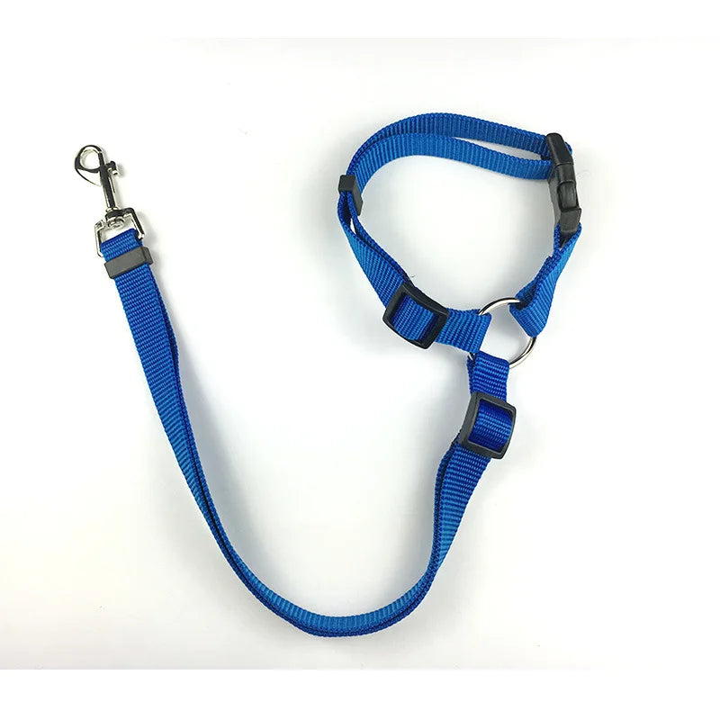 Laisse de sécurité pour chien de couleur bleu maintenant son chien avec ke repose tête de sa voiture. La laisse est en nylon. Image produit Boutiquechien
