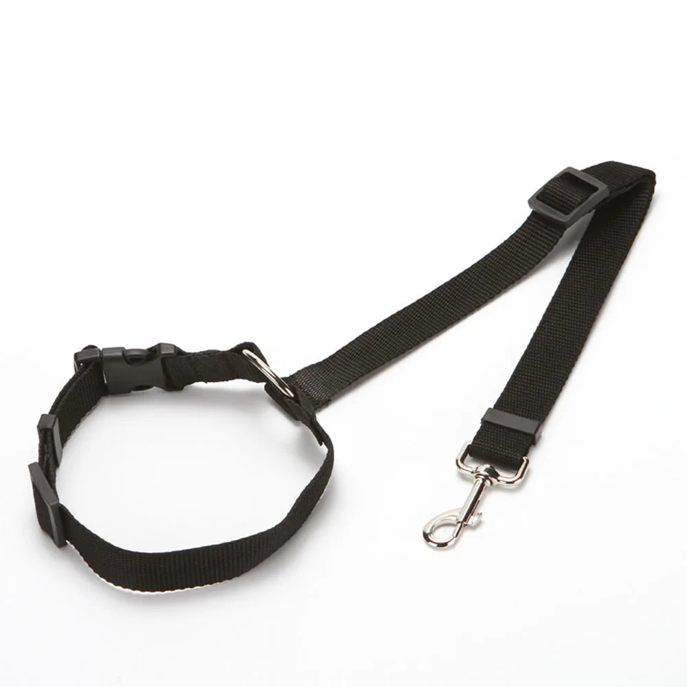 Laisse de sécurité pour chien de couleur noir maintenant son chien avec ke repose tête de sa voiture. La laisse est en nylon. Image produit Boutiquechien