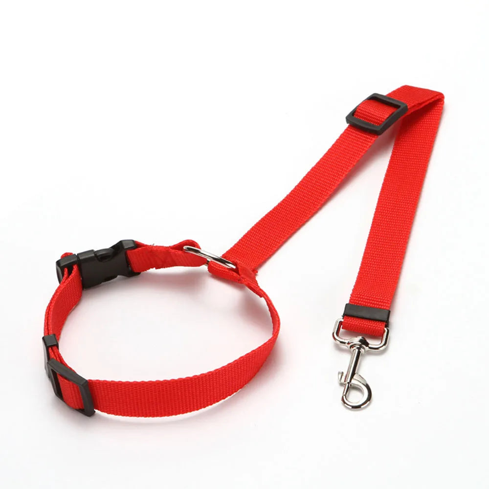 Laisse de sécurité pour chien de couleur rouge maintenant son chien avec ke repose tête de sa voiture. La laisse est en nylon. Image produit Boutiquechien