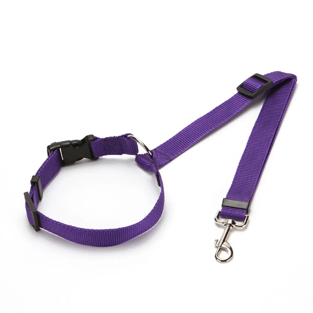 Laisse de sécurité pour chien de couleur violet maintenant son chien avec ke repose tête de sa voiture. La laisse est en nylon. Image produit Boutiquechien