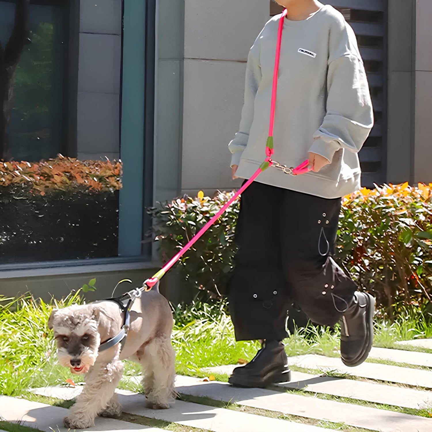 Laisse chien lasso maintenu par son maître. Image produit Boutiquechien