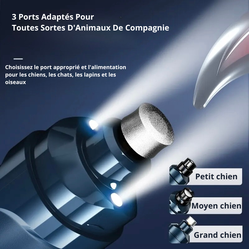 led de la ponseuse pour griffe de chien de plusieurs dimensions. Image produit Boutiquechien