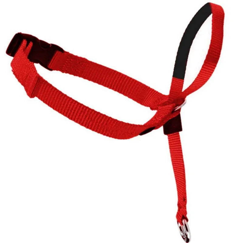 licol rouge pour grand chien
