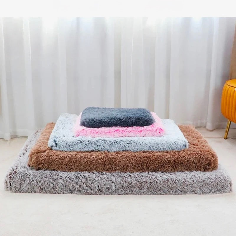 Tapis déhoussable pour chien