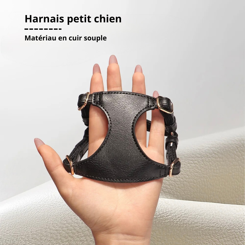 Harnais cuir de couleur noir pour petit chien tenant dans la main d'une femme à long ongle. Image produit Boutiquechien