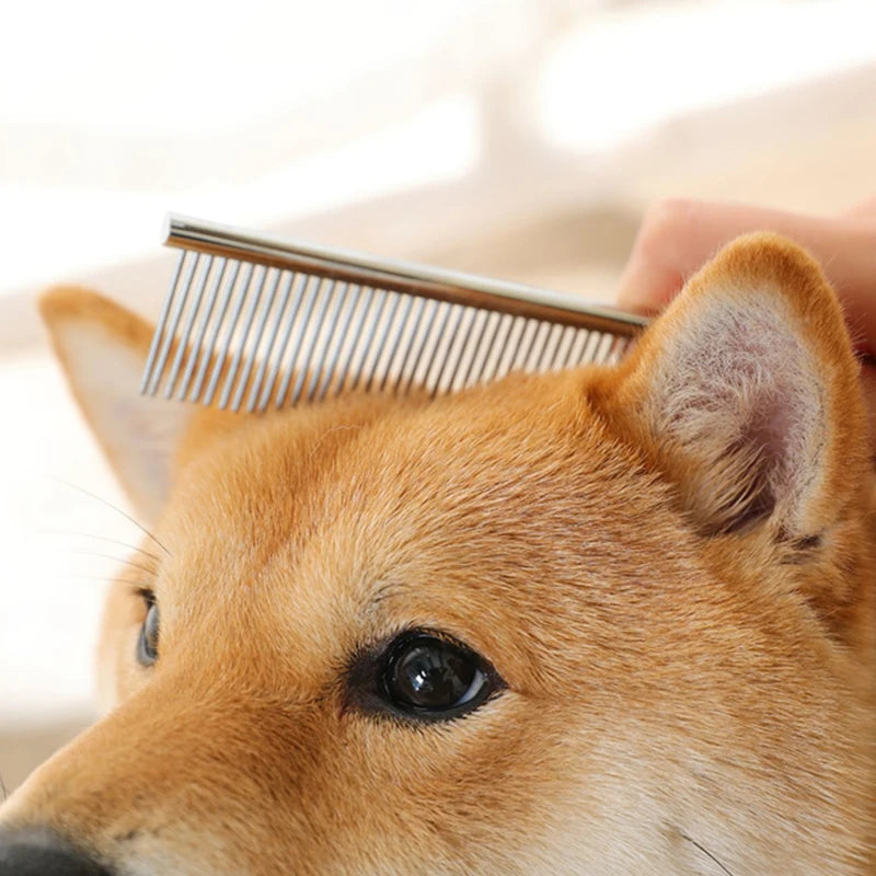 shiba de couleur brun se faisant brosser par un peigne de couleur gris sur la tête du chien. Image produit Boutiquechien