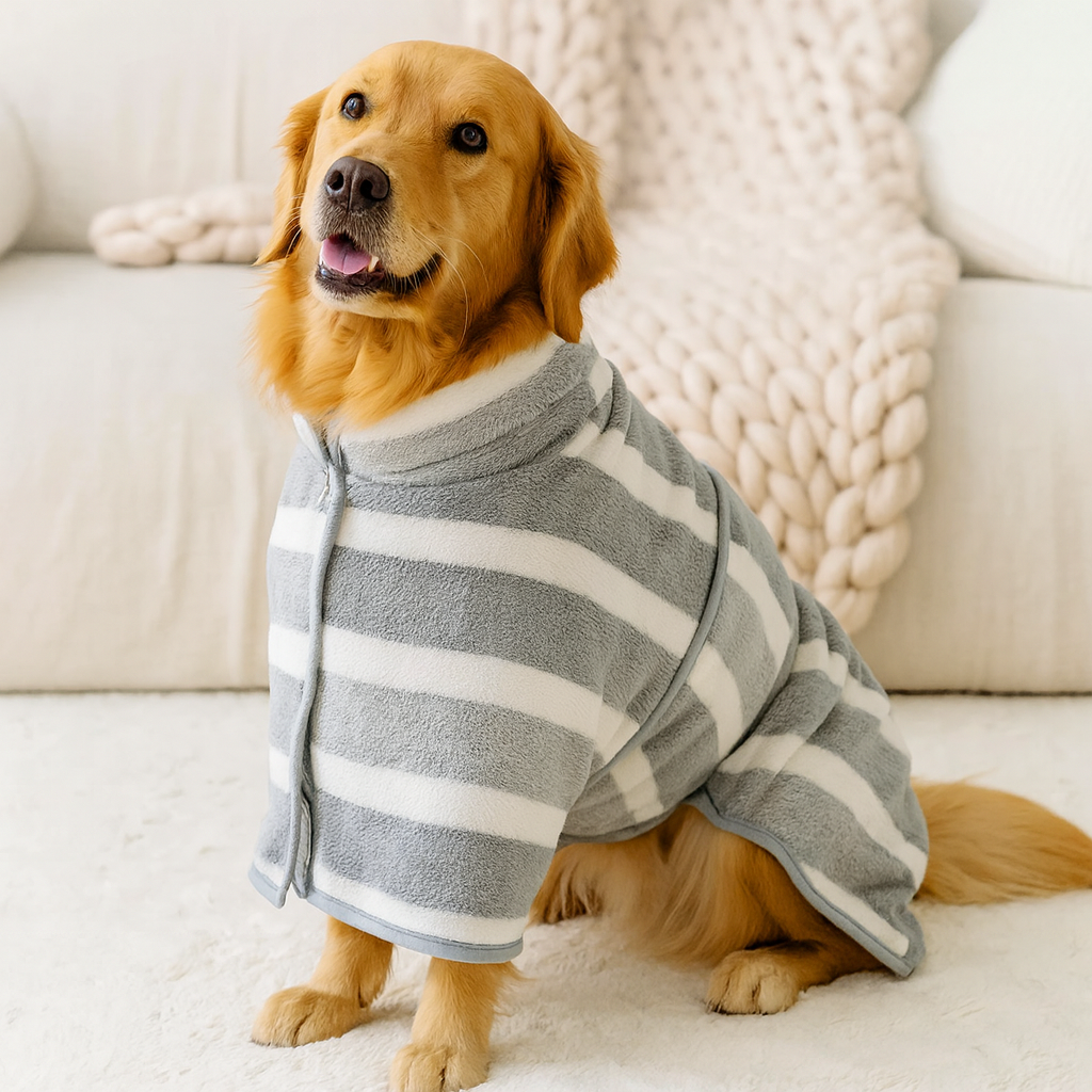 Peignoir pour chien de couleur gris et blanc sur un chien de couleur brun. Le chien est près d'un canapé blanc pour chien. Image produit Boutiquechien
