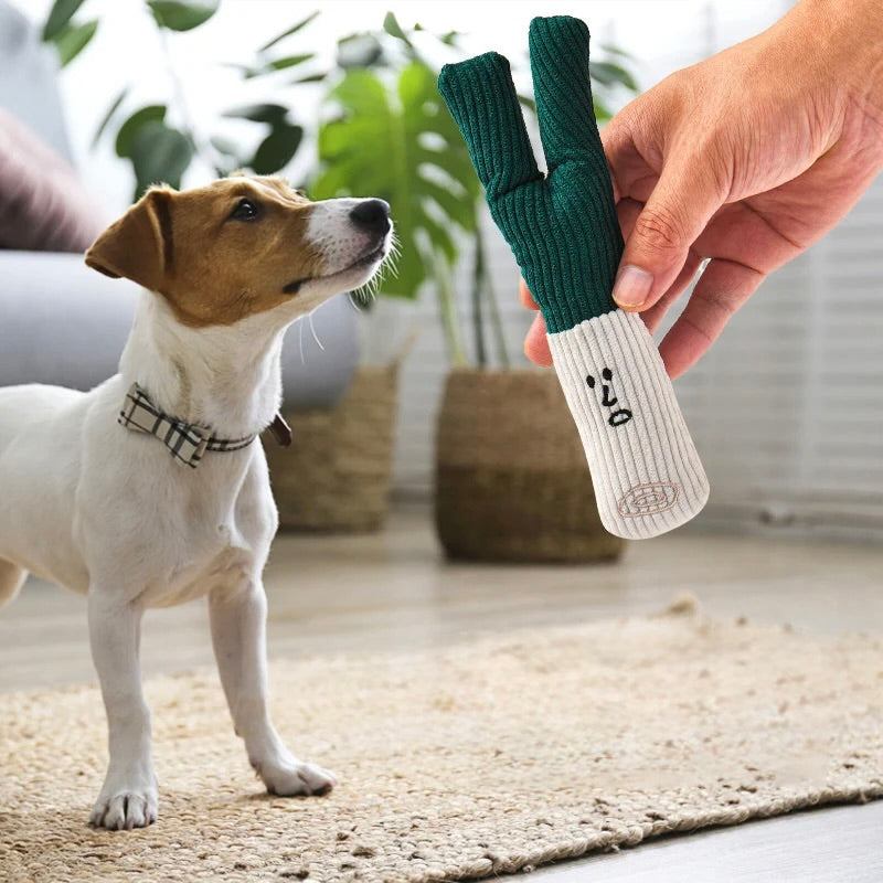 petit chien blanc et brun debout dans un salon de couleur claire avec la peluche poireau dans la main d'une personne. Image produit Boutiquechien
