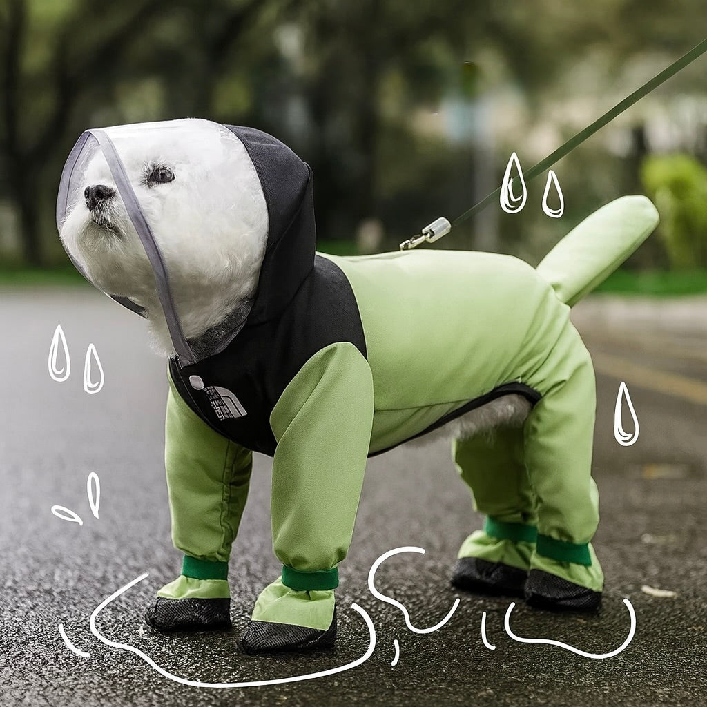 Petit chien de couleur bilan portant un imper intégral de couleur vert et noir tenu par une laisse. Image produit Boutiquechien