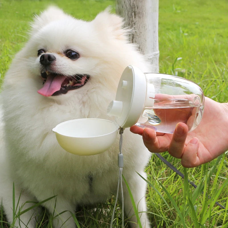 petit chien blanc assis dans l'Herbe verte. Le chien est assis devant une mini gourde couleur blanche tenu par une main. Image produit Boutiquechien