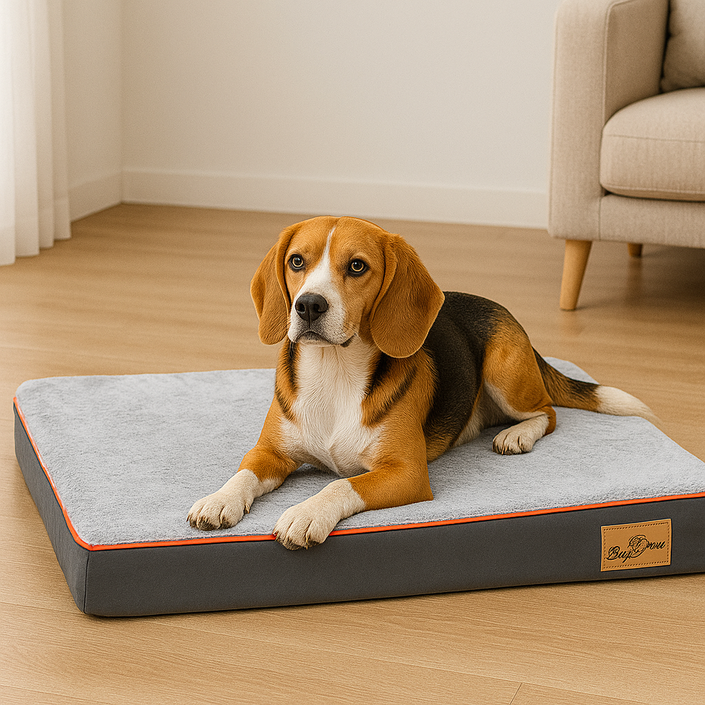 Chien brun et noir couché sur un tapis moelleux orthopédique. Le tapis chien est posé près d'un canapé blanc. Image produit Boutiquechien