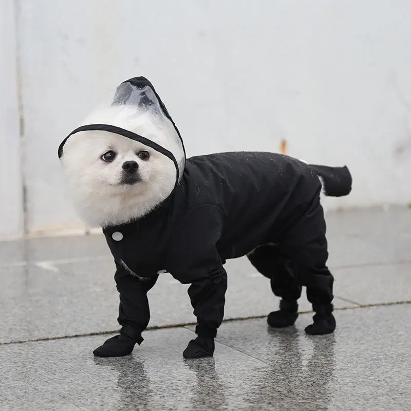 Petit chien de couleur blanc dans un grand imperméable de couleur noir dans une rue. Le chien porte une combinaison intégrale de la tête à la queu sur un passage piéton blanc. Image produit Boutiquechien