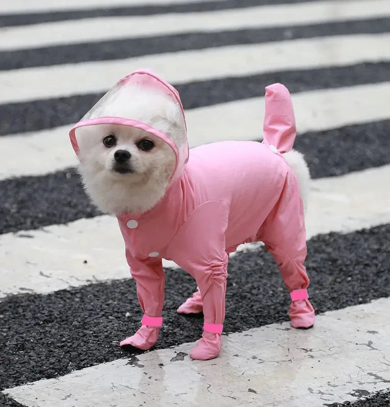 Petit chien de couleur blanc dans un grand imperméable de couleur rose dans une rue. Le chien porte une combinaison intégrale de la tête à la queu sur un passage piéton blanc. Image produit Boutiquechien