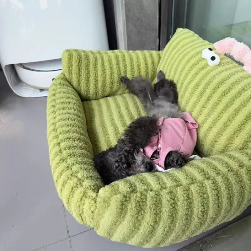 Petit chien dans un panier style velours de couleur vert. Le petit chien est couleur noir. Image produit Boutiquechien