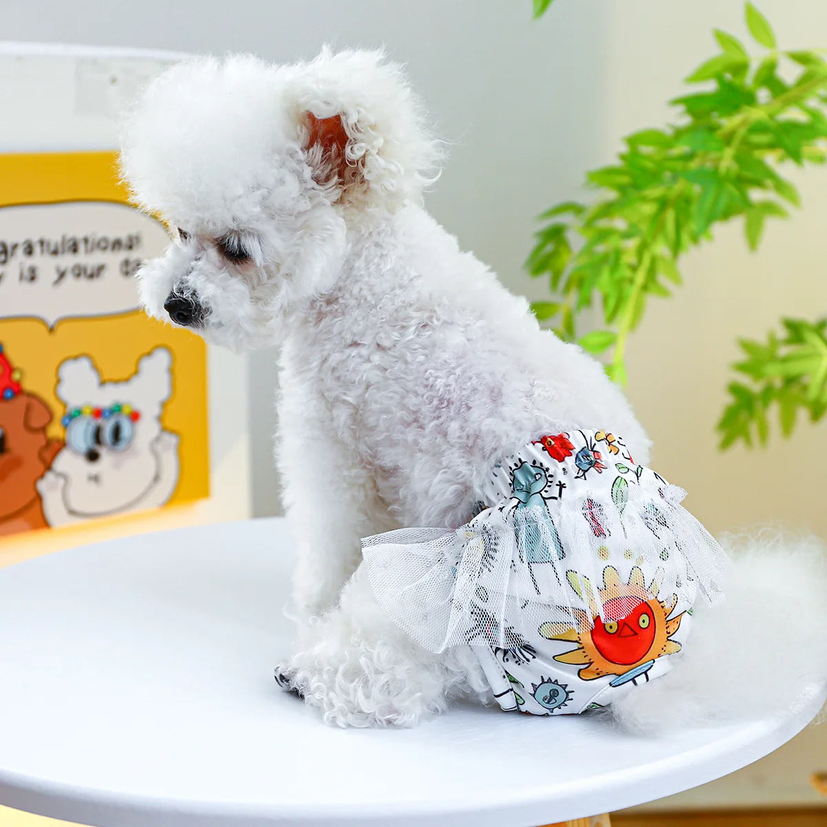 Petit chien de couleur blanc portant une couche pour chien blanche avec des dessins colorer dessus. Le chien est assis sur une table bleu avec en fond une plante vert. Image produit Boutiquechien