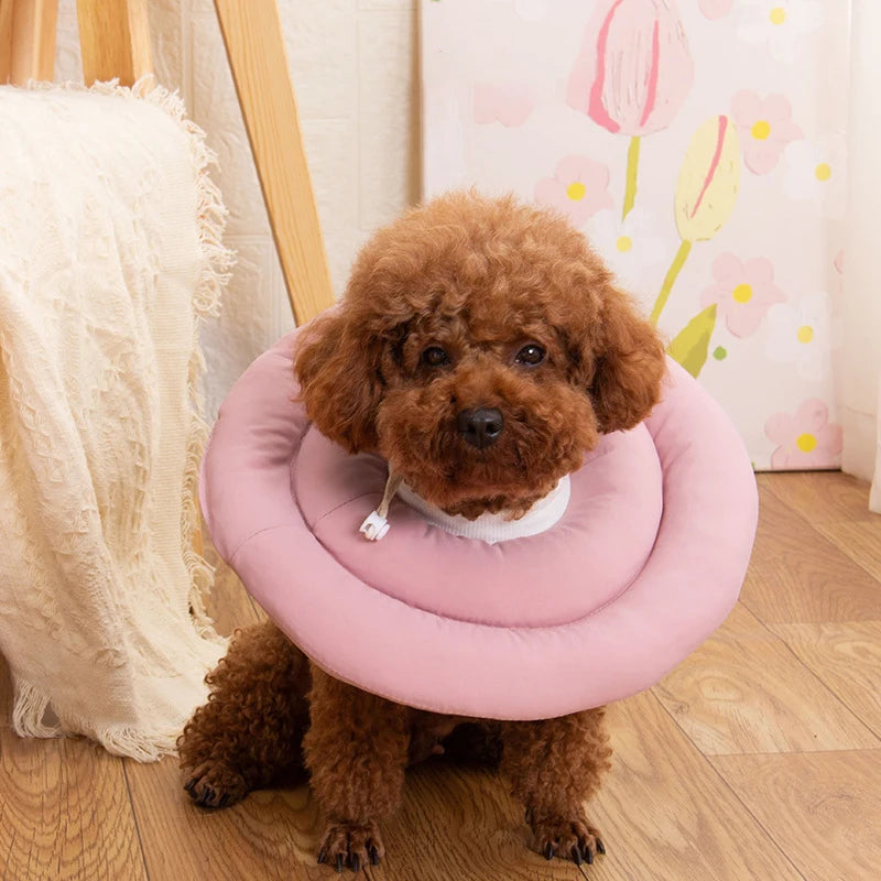 Collerette ajustable pour chien