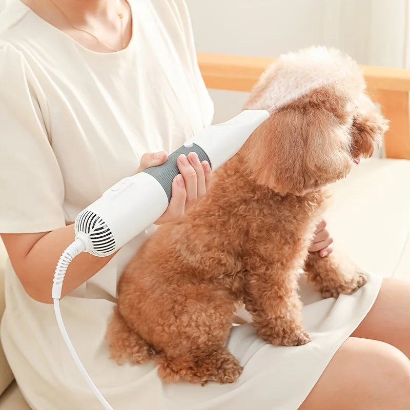 Petit chien roux se faisant brosser par une femme habillé en blanc. La femme utilise un pulseur blanc et gris pour brosser son chien à poil frisé. Image produit Boutiquechien