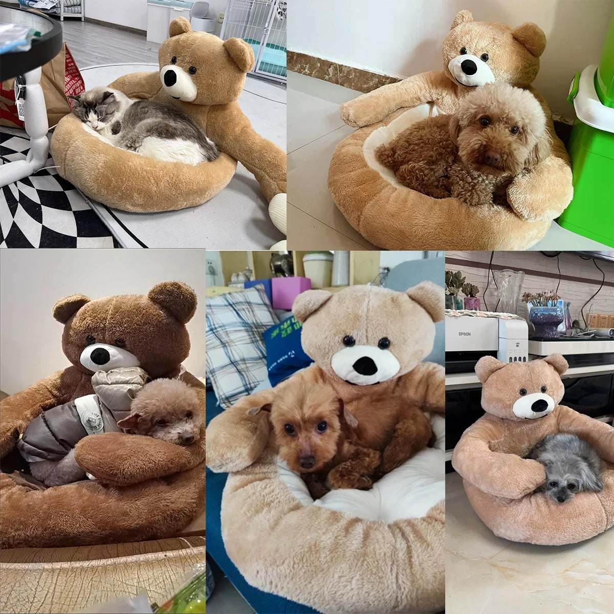 Panier chien en forme d'ours dans différentes situations avec différents chien dedans. Image produit Boutiquechien