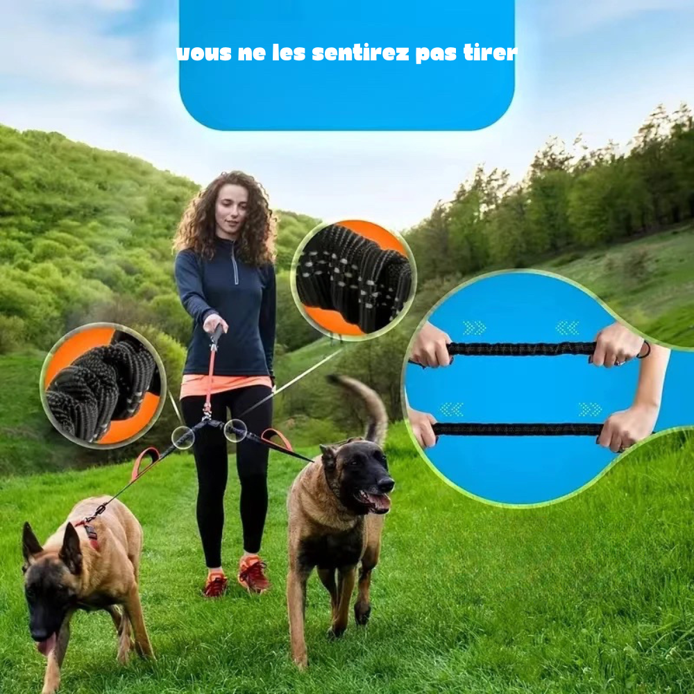 Point fort du produit montrant une femme tenant deux chiens en laisse se promenant dans une plaine. Les deux malinois tire sur la corde néanmoins les élastique limites l'effet de traction. Image produit Boutiquechien