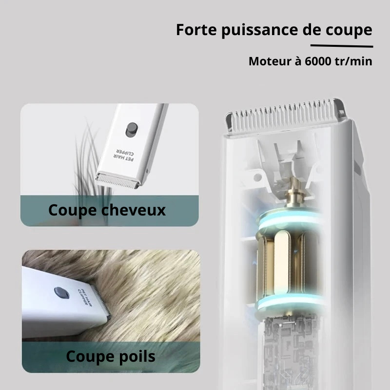 puissance de la tondeuse chien avec son utilisation principal. Image produit Boutiquechien
