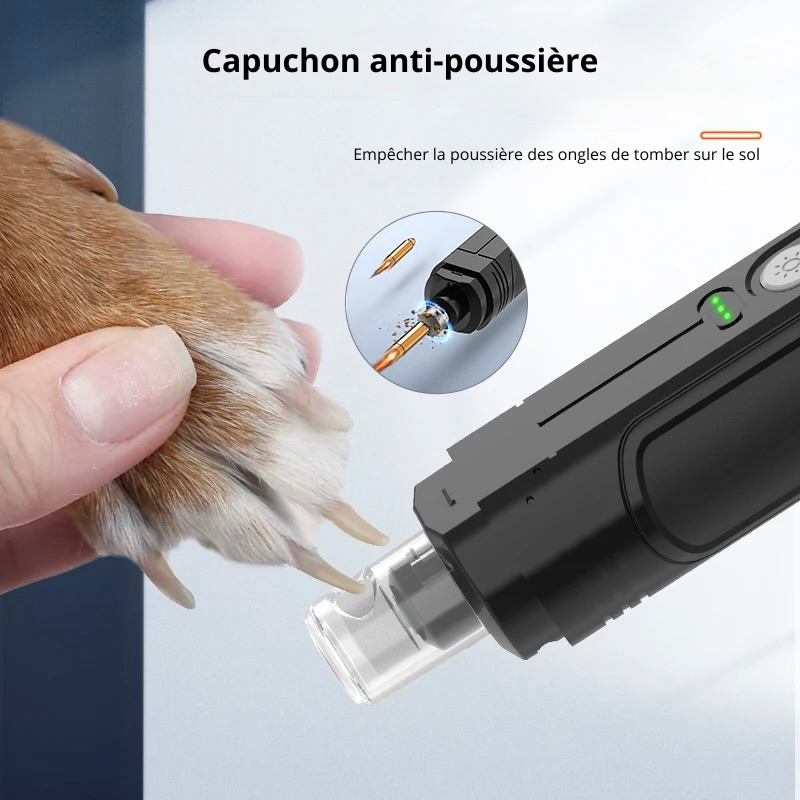 ponceuse griffe pour chien avec protection contre la poussière. Image produit Boutiquechien