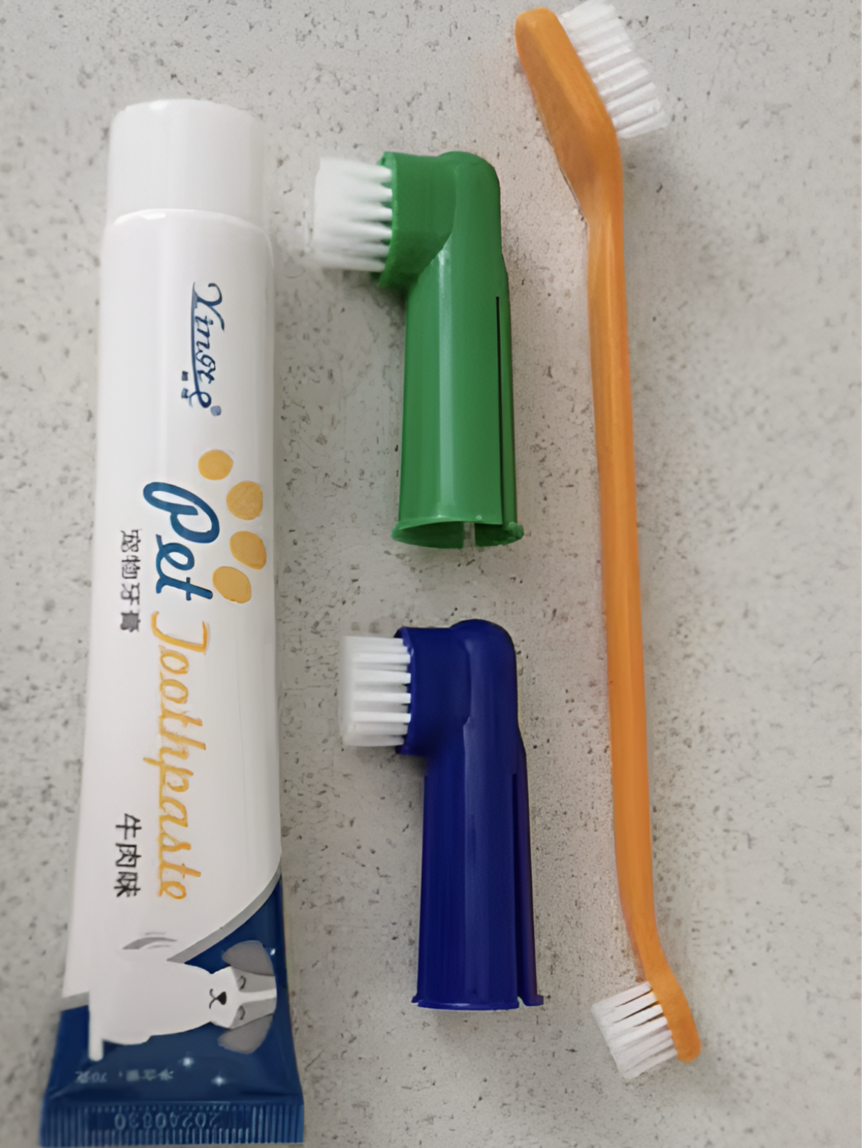 brosses à dent pour chien de couleur vert, bleu et orange. Image produit Boutiquechen