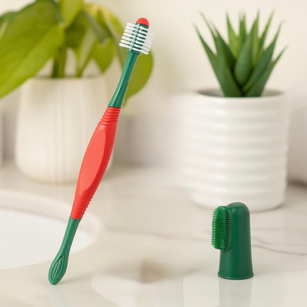 brosse a dent pour chien vert et rouge avec doigt brosse a dent kaki. En fond il y a des plantes vertes dans un pot blanc. Image produit Boutiquechien