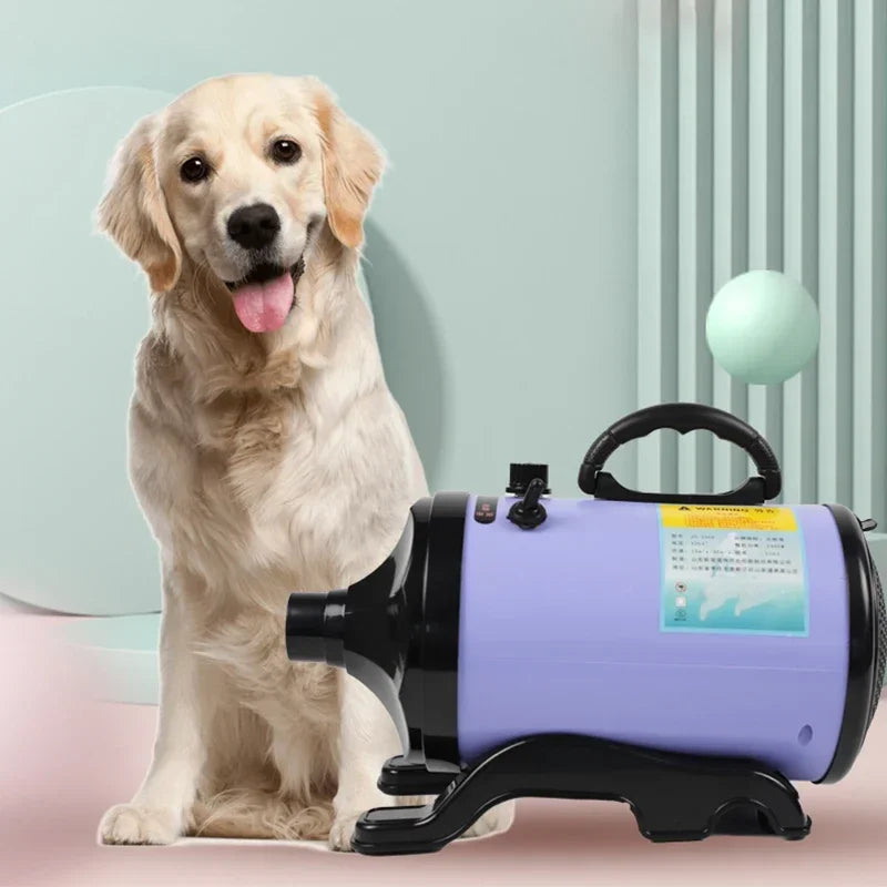 Pulseur chien violet et noir de qualité professionnell. Le golden retriever est assis à côte du pulseur chien. Image produit Boutiquechien