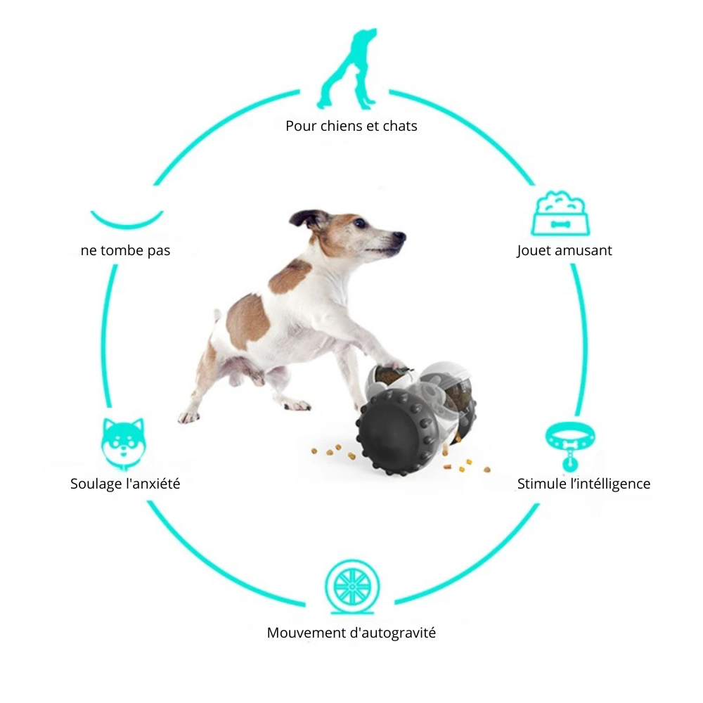 robot à roue avec des friandise pour chien. Tous les point fort du produit ont été cite. Image produit Boutiquechien