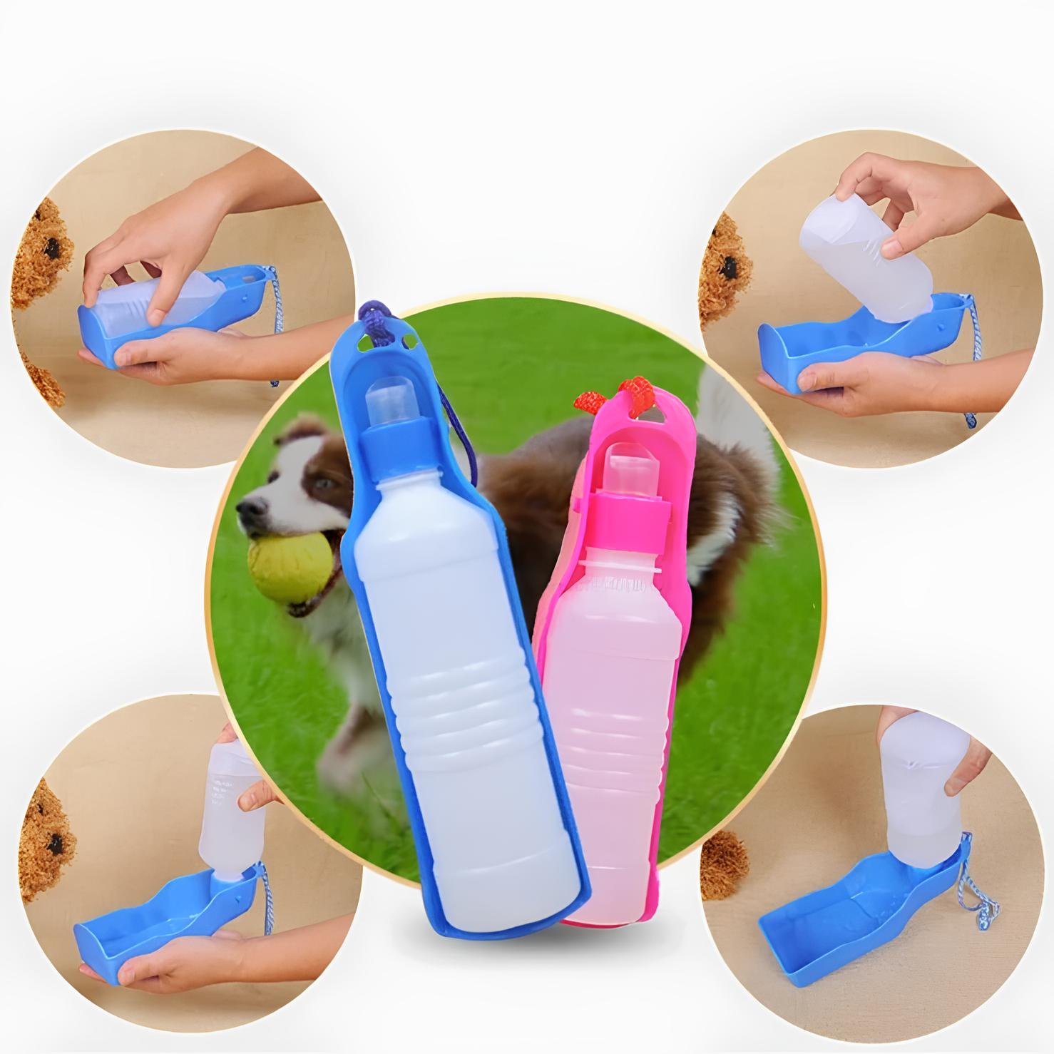 qualité de la grande gourde pour chien de couleur rose et bleu. La gourde est mis en valeur avec les différentes façon de l'utiliser. Image produit Boutiquechien