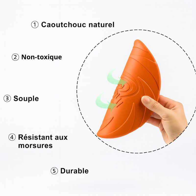 qualité du Frisbee pour chien pliable et résistant. avec toutes les qualités du produit listé. Image produit Boutiquechien