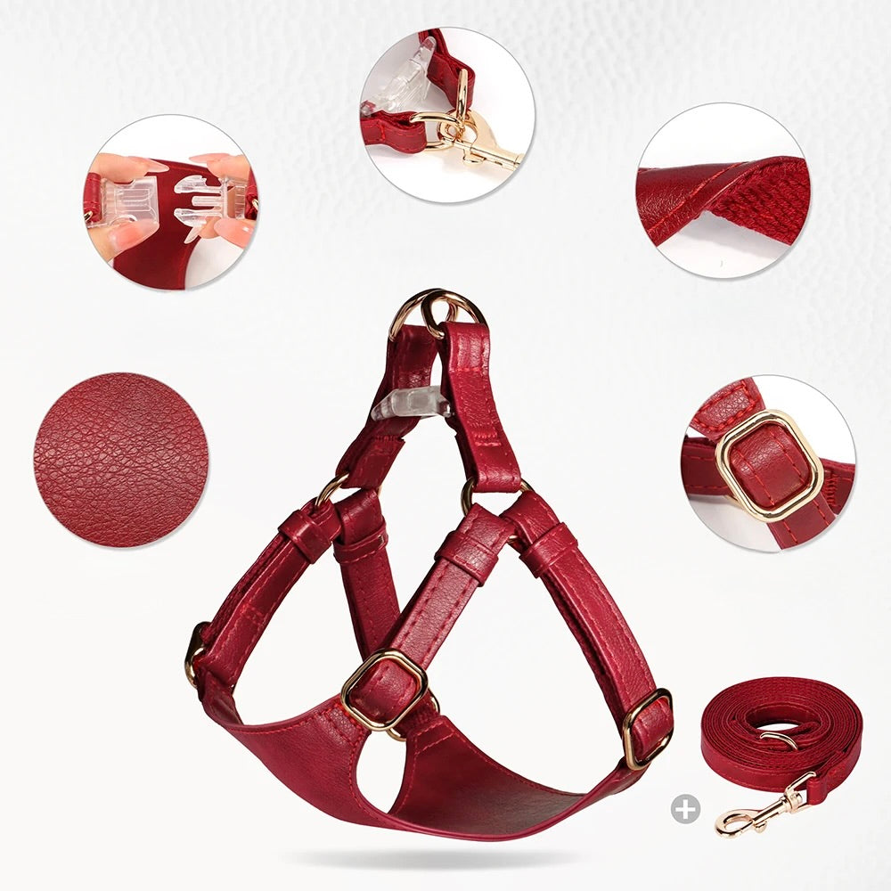 Image montrant toutes les qualité du harnais chien de couleur rouge. Image produit Boutiquechien