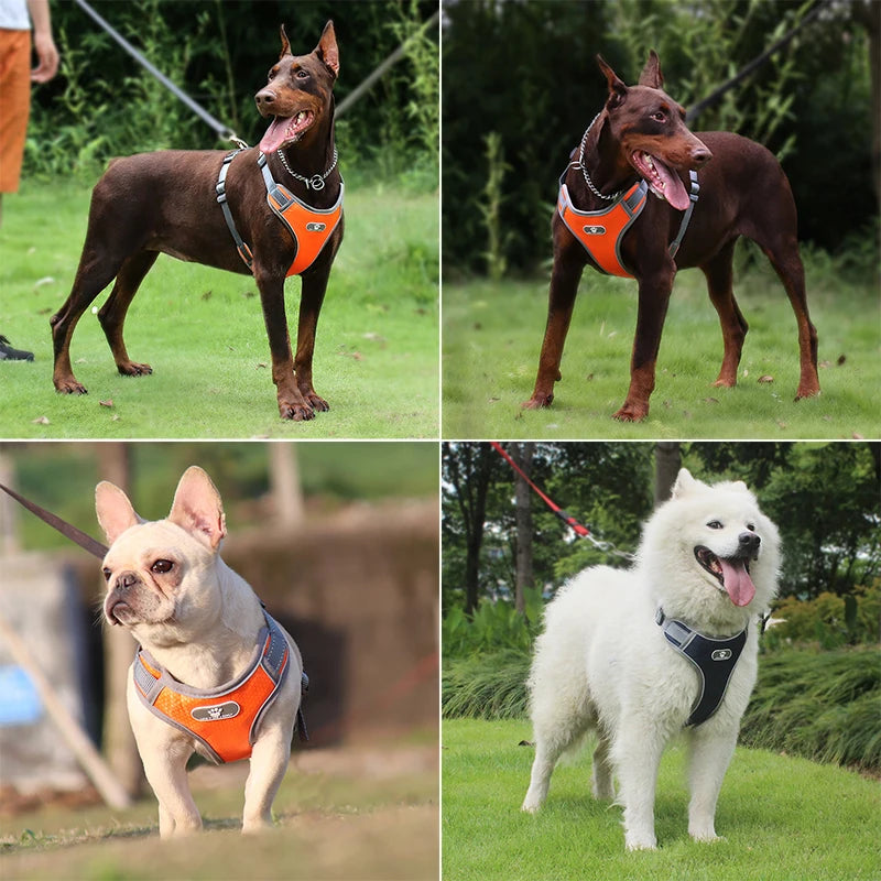 Image montrant 4 chiens avec des gros harnais pour chien de couleur gris et orange. Image produit Boutiquechien