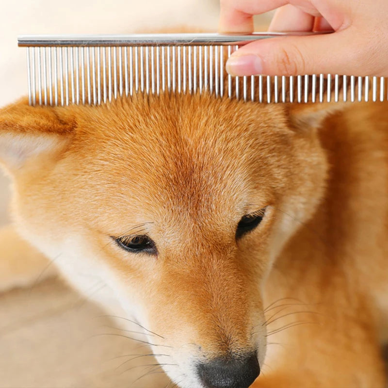 shiba de couleur brun se faisant brosser par un peigne de couleur gris sur la tête du chien. Le chien est couché par terre. Image produit Boutiquechien