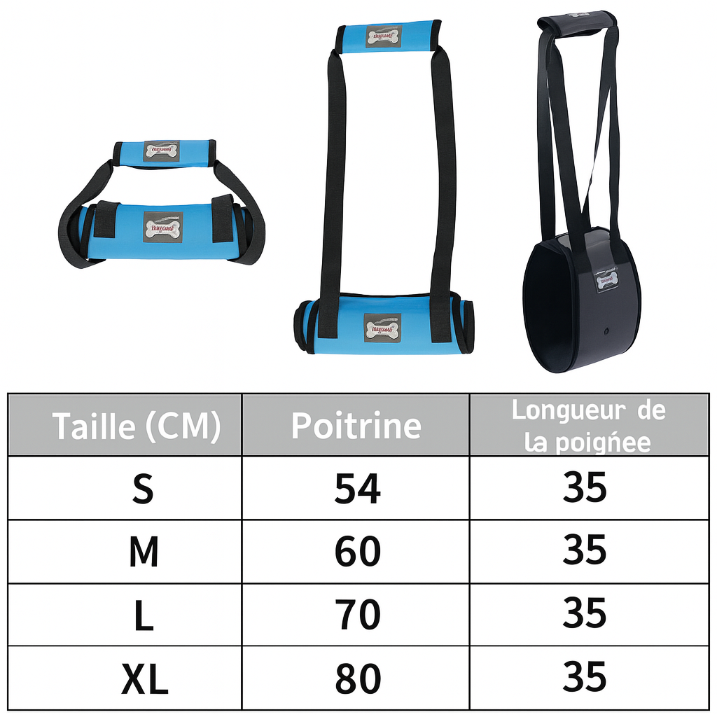 tableau des tailles du harnais de maintient pour chien de couleur Bleu et noir pour les chiens. Image produit Boutiquechien
