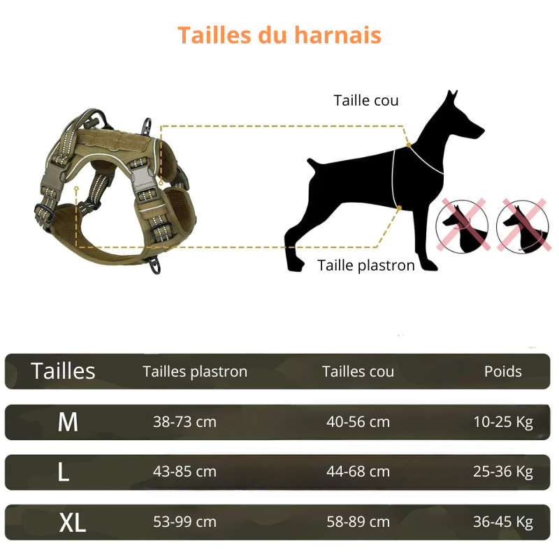 tailles du harnais pour chien de M à XL de boutiquechien