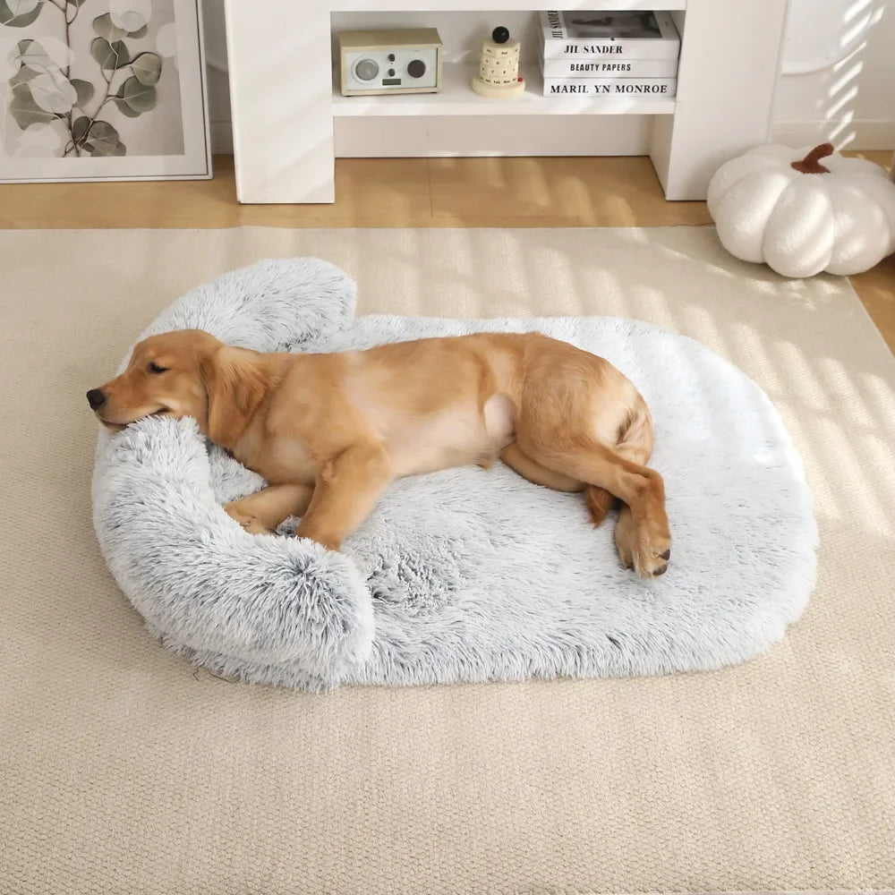 Tapis chien blanc avec un grand golden retriever de couleur brun couché sur le tapis chien avec la tête sur le boudin. Le tapis chien est posé dans un salon de couleur blanc. Image produit Boutiquechien