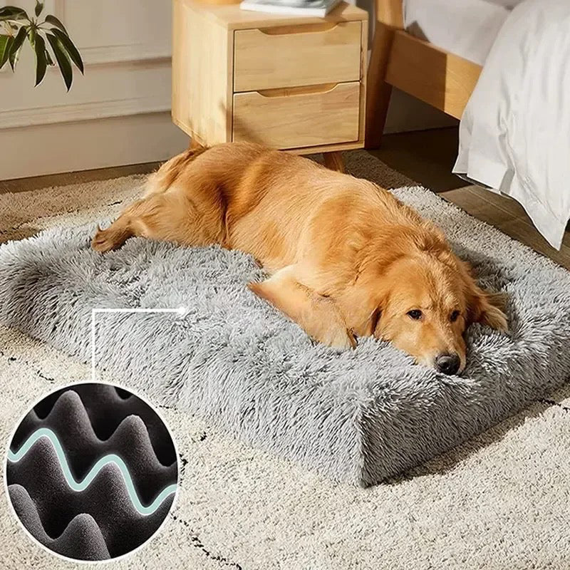 Golden retriever de couleur roux couché sur un tapis doux et moelleux de couleur gris. Le tapis est dans une chambre de couleur claire. Il y a une petite table de chevet en bois à côté d'un lit en bois. Image produit Boutiquechien
